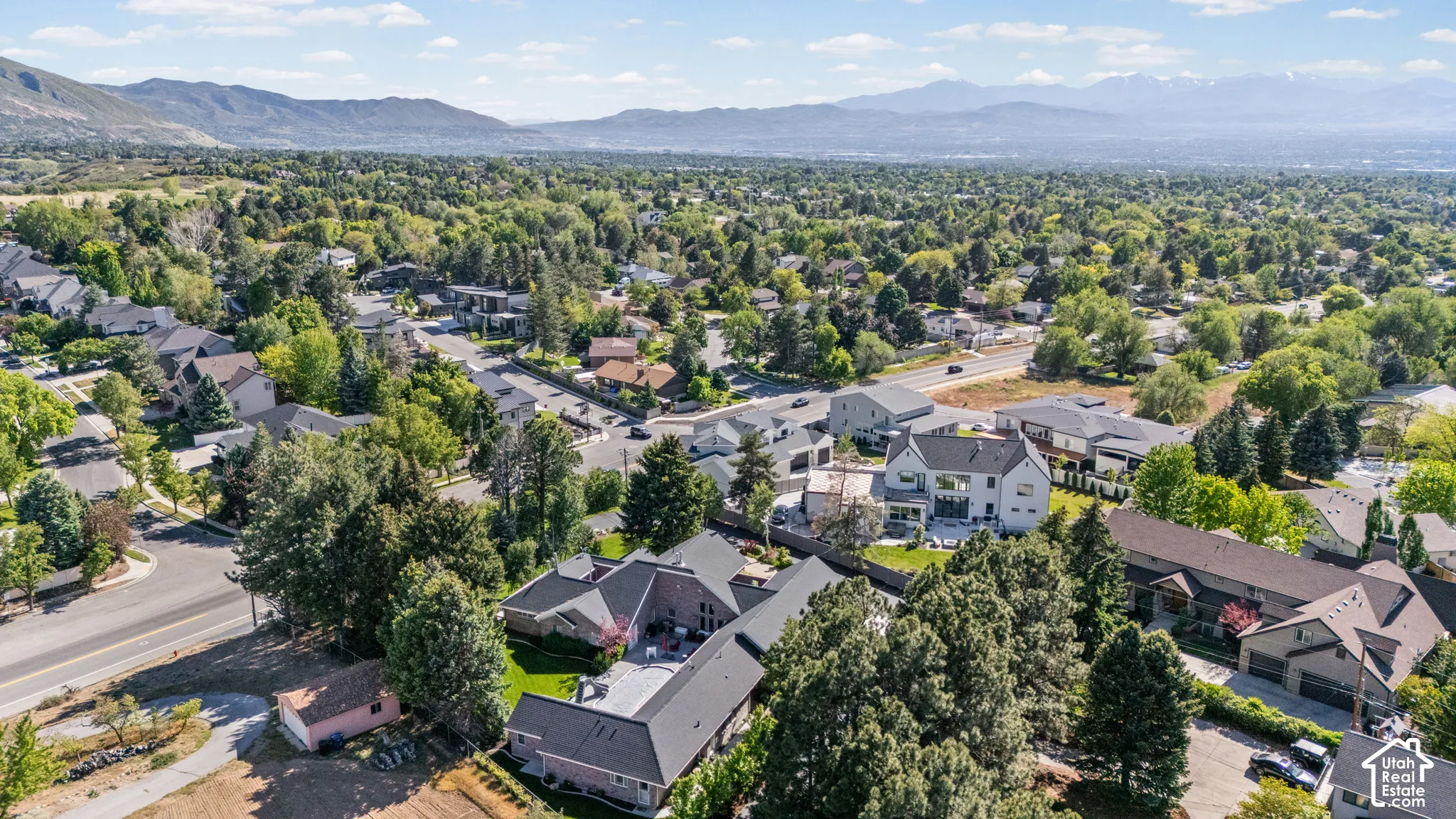 Expansive aerial perspective showcasing a residential area with mature tree coverage, a paved street, and a mountainous backdrop