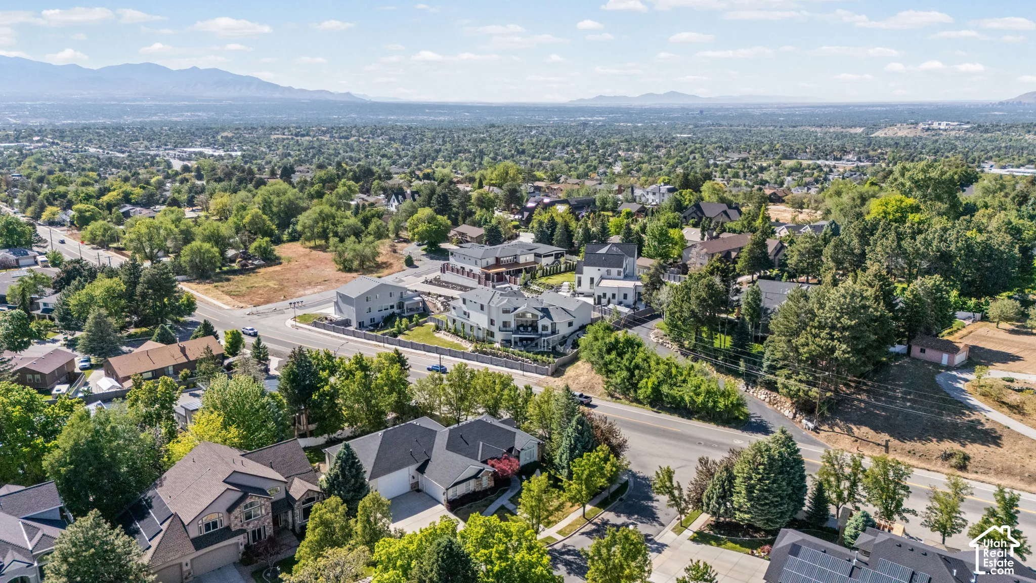 Expansive aerial perspective showcasing a residential area with varied architectural styles and mature trees