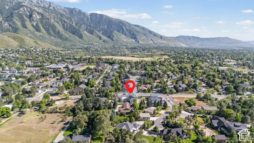 Expansive aerial perspective showcasing a residential neighborhood with mature trees