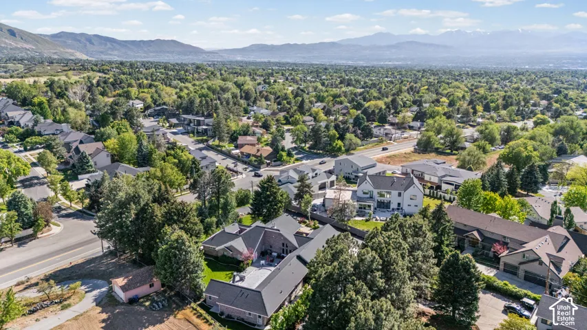 Expansive aerial perspective showcasing a residential area with mature tree coverage, a paved street, and a mountainous backdrop