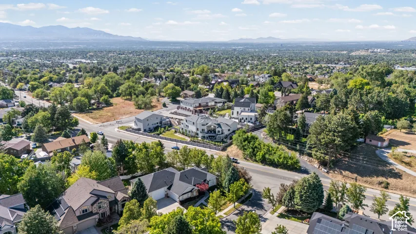 Expansive aerial perspective showcasing a residential area with varied architectural styles and mature trees