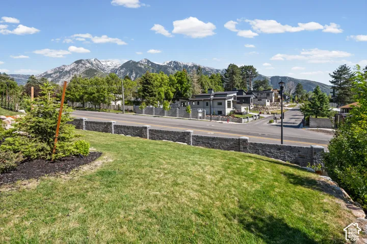 Expansive green lawn framed by a stone retaining wall and a young evergreen tree