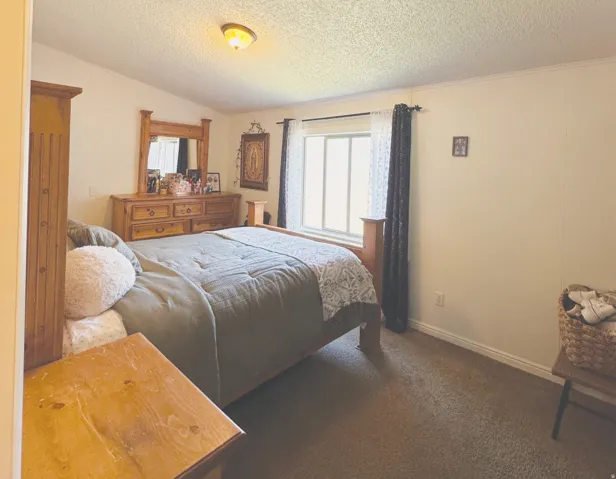 Carpeted room with a double-pane window and a ceiling-mounted light fixture