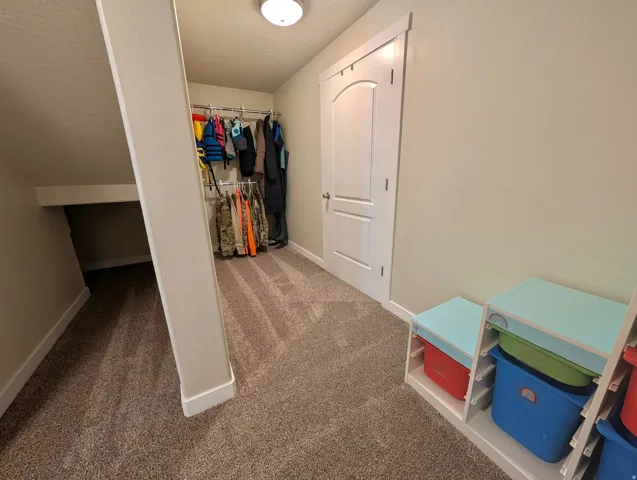Carpeted storage area featuring a white paneled door, built-in shelving, and a hanging clothes rod