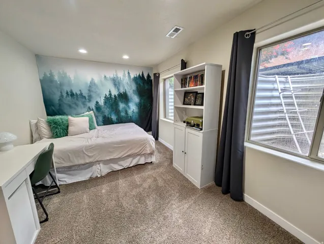 Carpeted room featuring a large wall mural, built-in shelving with cabinetry, and two windows