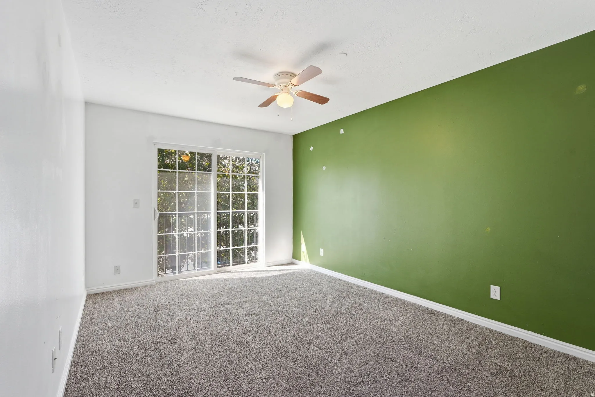 Master Suite with private Sliding Glass doors, and a vibrant accent wall
