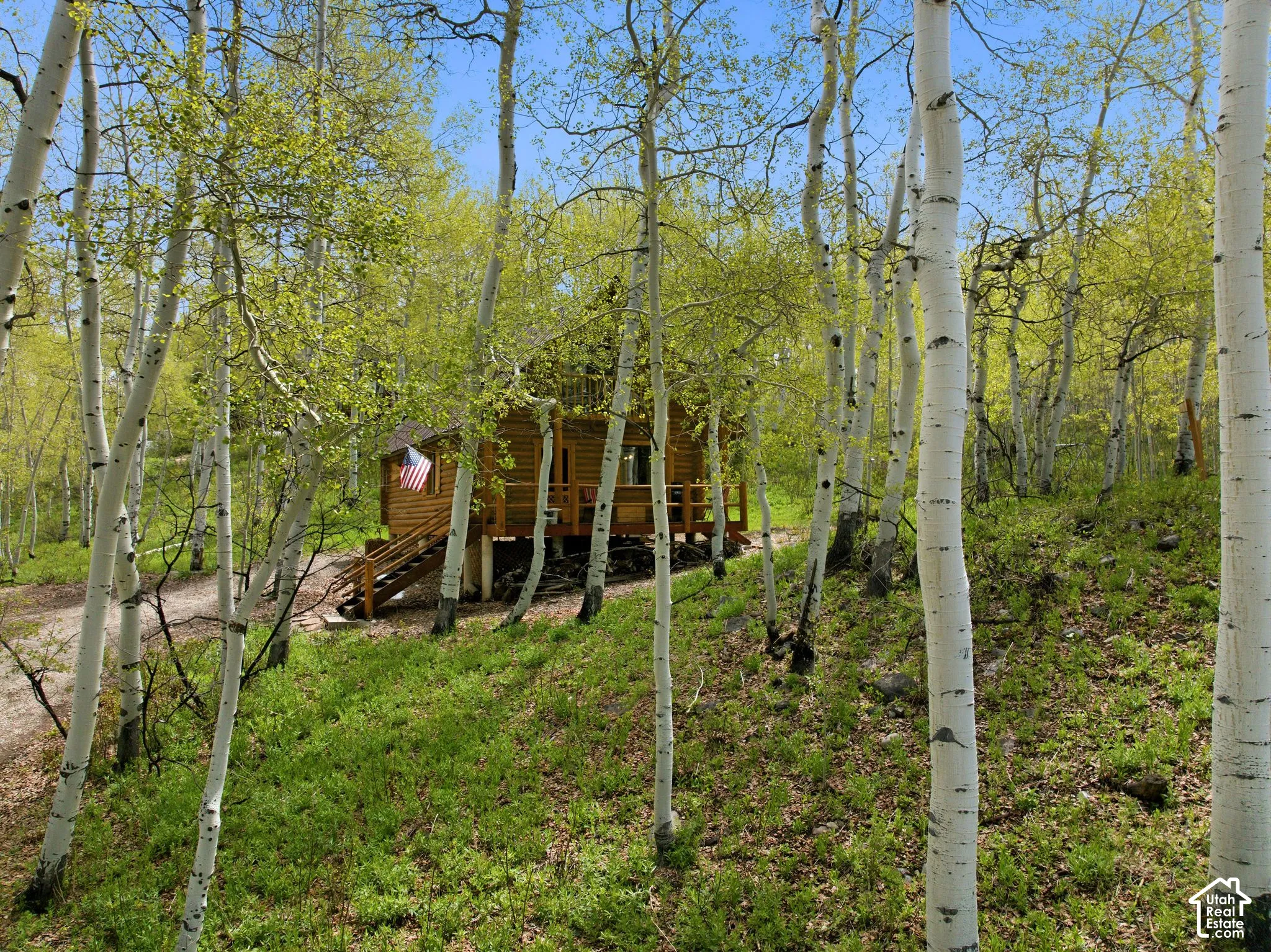 Wood cabin exterior with a raised foundation, surrounded by numerous aspen trees and lush ground cover