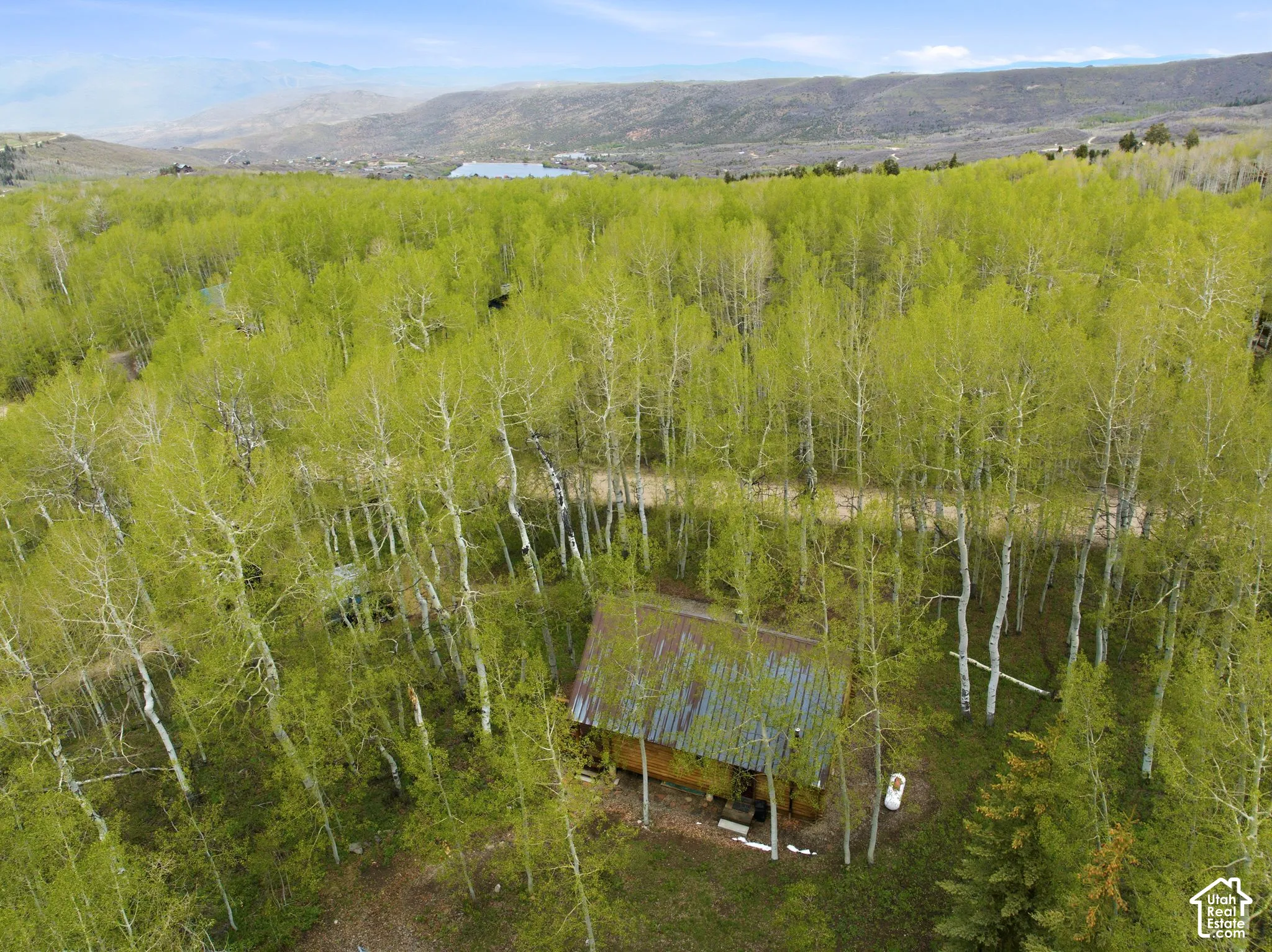 Wood-sided cabin nestled among a dense grove of mature aspen trees, featuring a metal roof