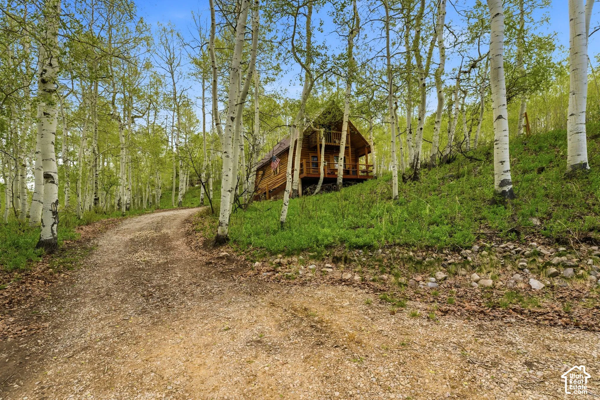 Log cabin style residence nestled amongst an aspen grove