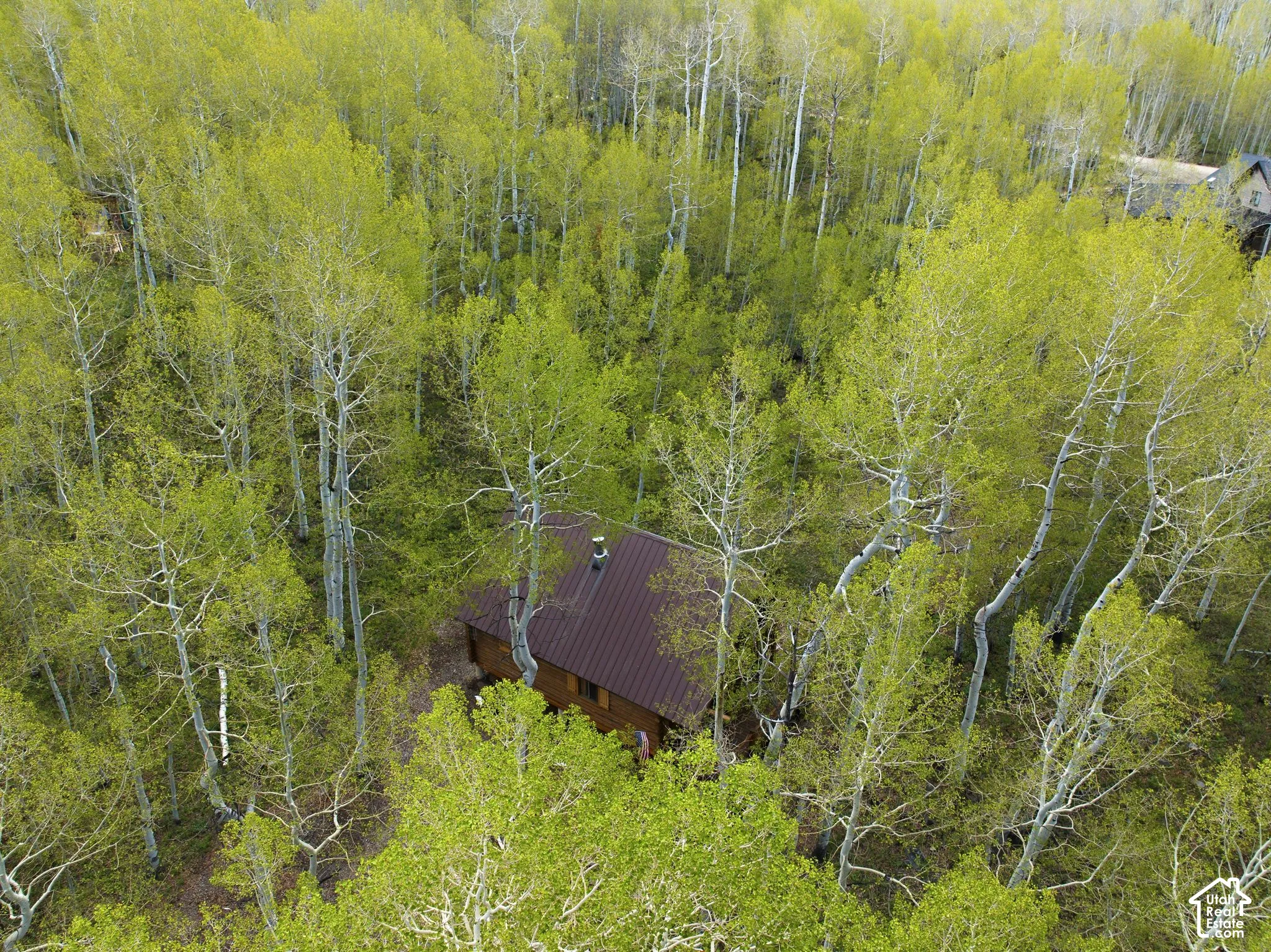 Wood-sided cabin with a brown metal roof
