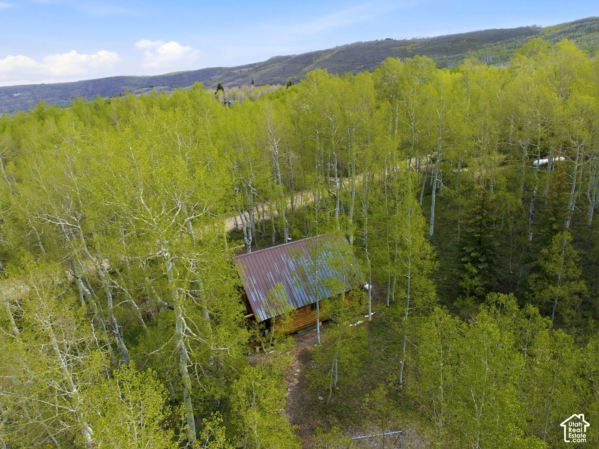 Rustic cabin nestled among abundant trees