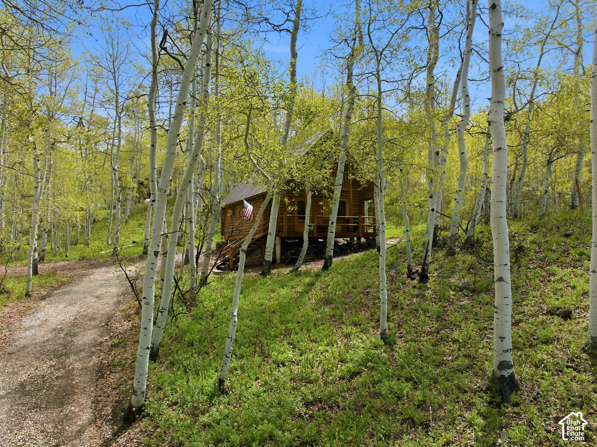 Wood-sided cabin featuring a covered front porch and a dark-toned roof, nestled among numerous trees with light green foliage