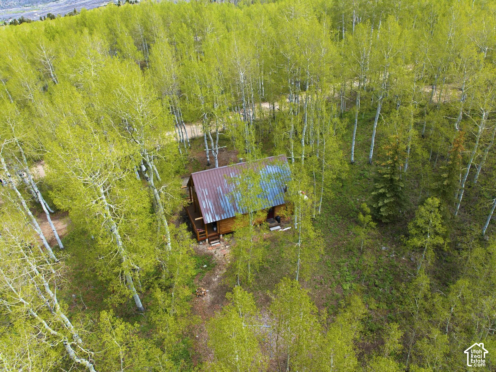Rustic cabin nestled among abundant trees