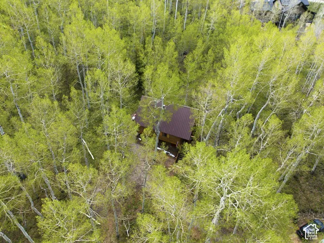 Secluded property enveloped by dense, verdant trees, featuring a brown-sided residence with a matching brown metal roof