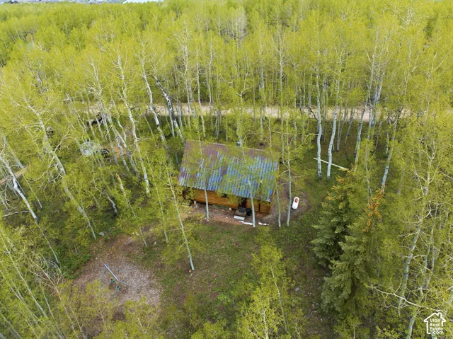 Rustic cabin featuring a corrugated metal roof, surrounded by mature deciduous trees and evergreen foliage