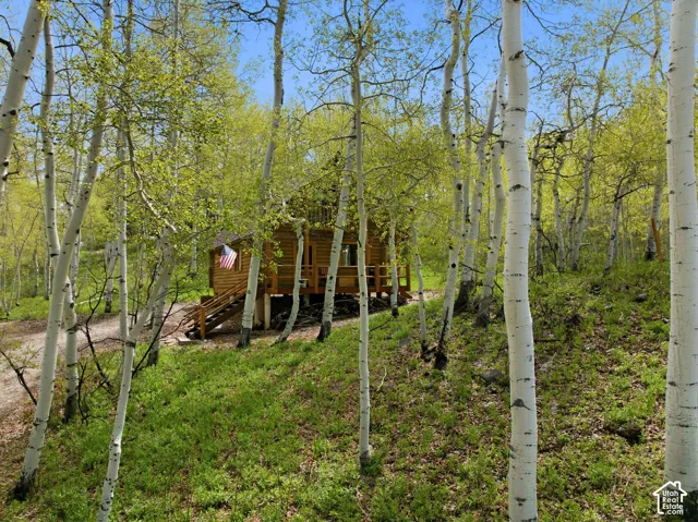 Wood cabin exterior with a raised foundation, surrounded by numerous aspen trees and lush ground cover