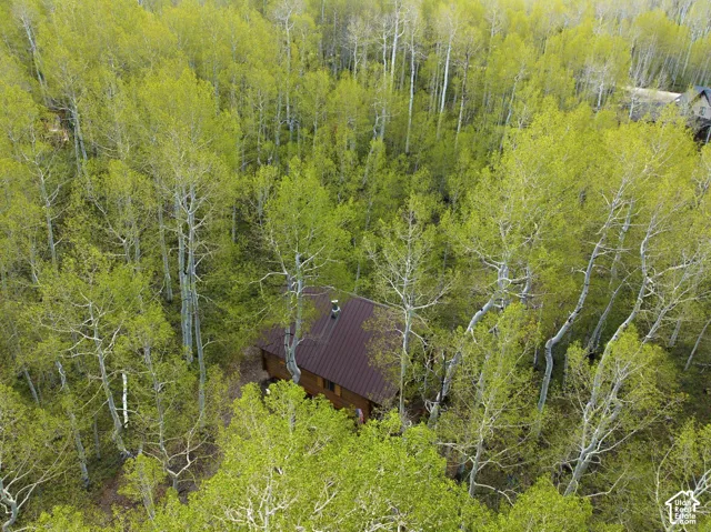 Wood-sided cabin with a brown metal roof