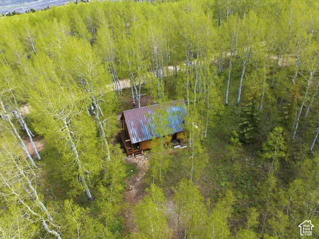 Rustic cabin nestled among abundant trees
