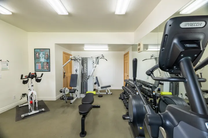 Dedicated fitness area featuring wall-to-wall mirrors, task lighting, wood-finish doors, and low-pile carpet flooring