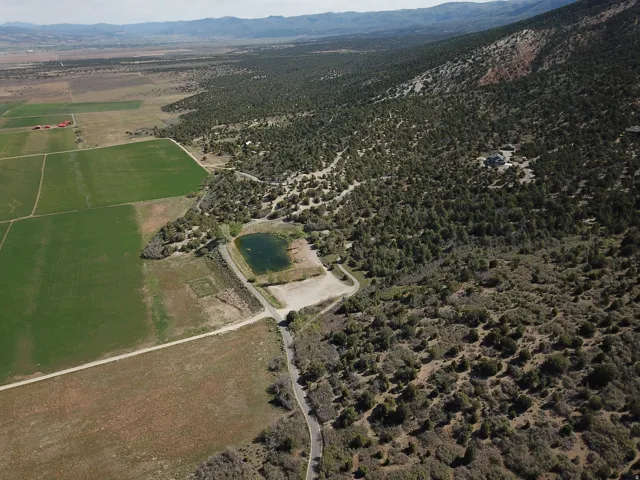 Expansive property featuring a private pond, extensive natural tree cover, and a winding access road