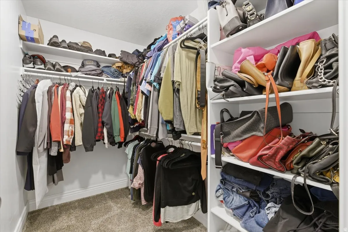 Walk-in closet featuring built-in shelving, multiple hanging rods, and neutral carpet flooring