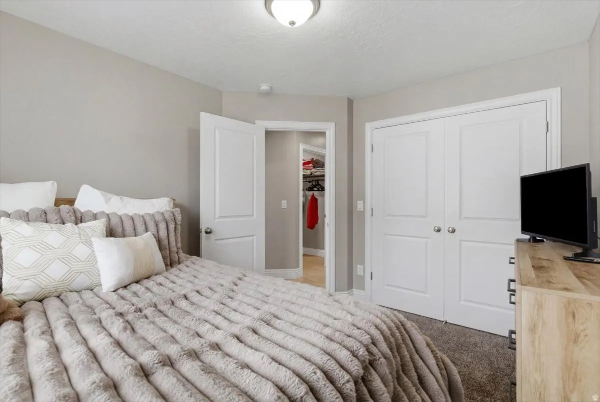 Carpeted room featuring a white paneled door, a white large closet, and a flush-mount ceiling light.