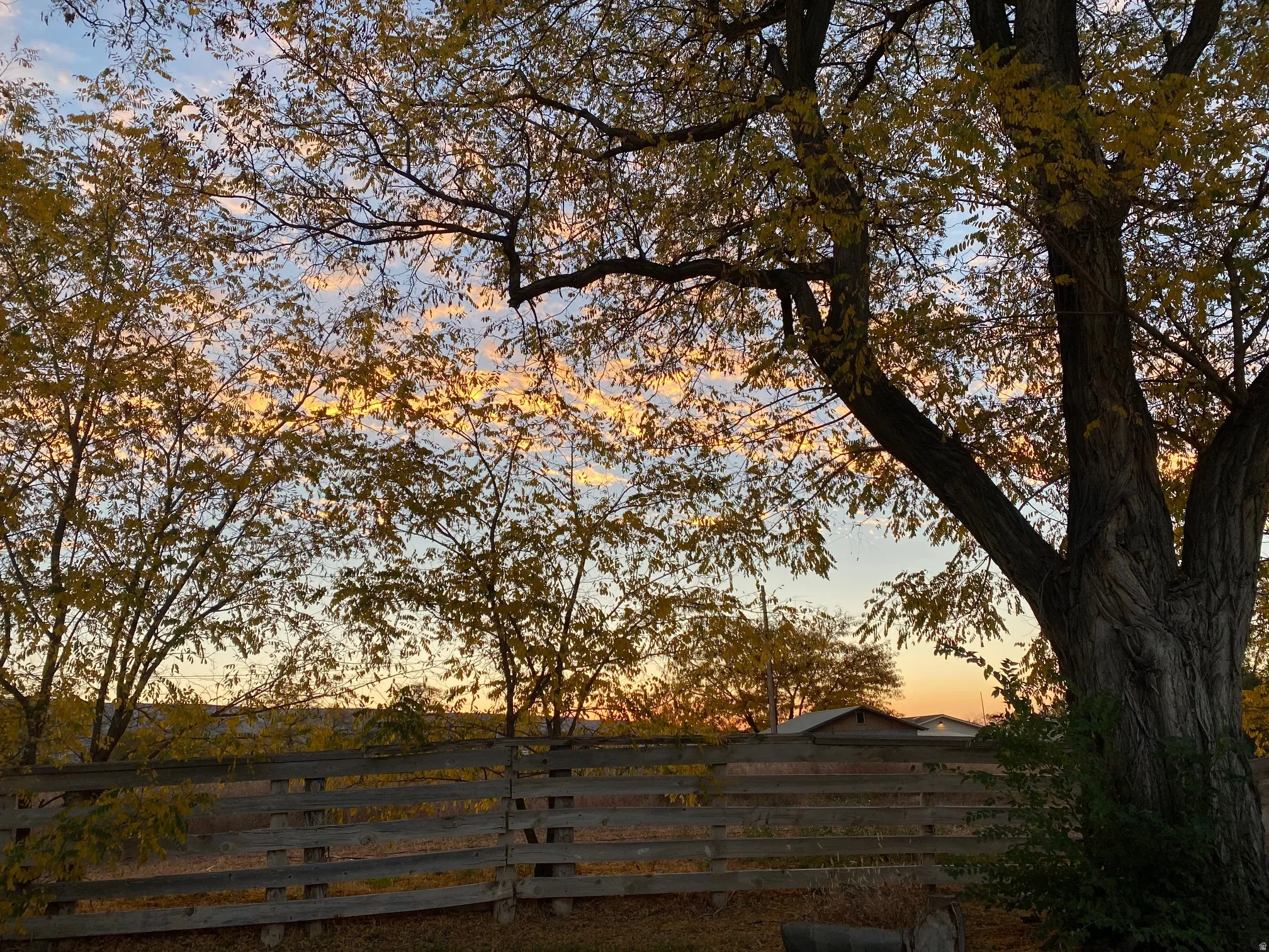 Summer Sunset