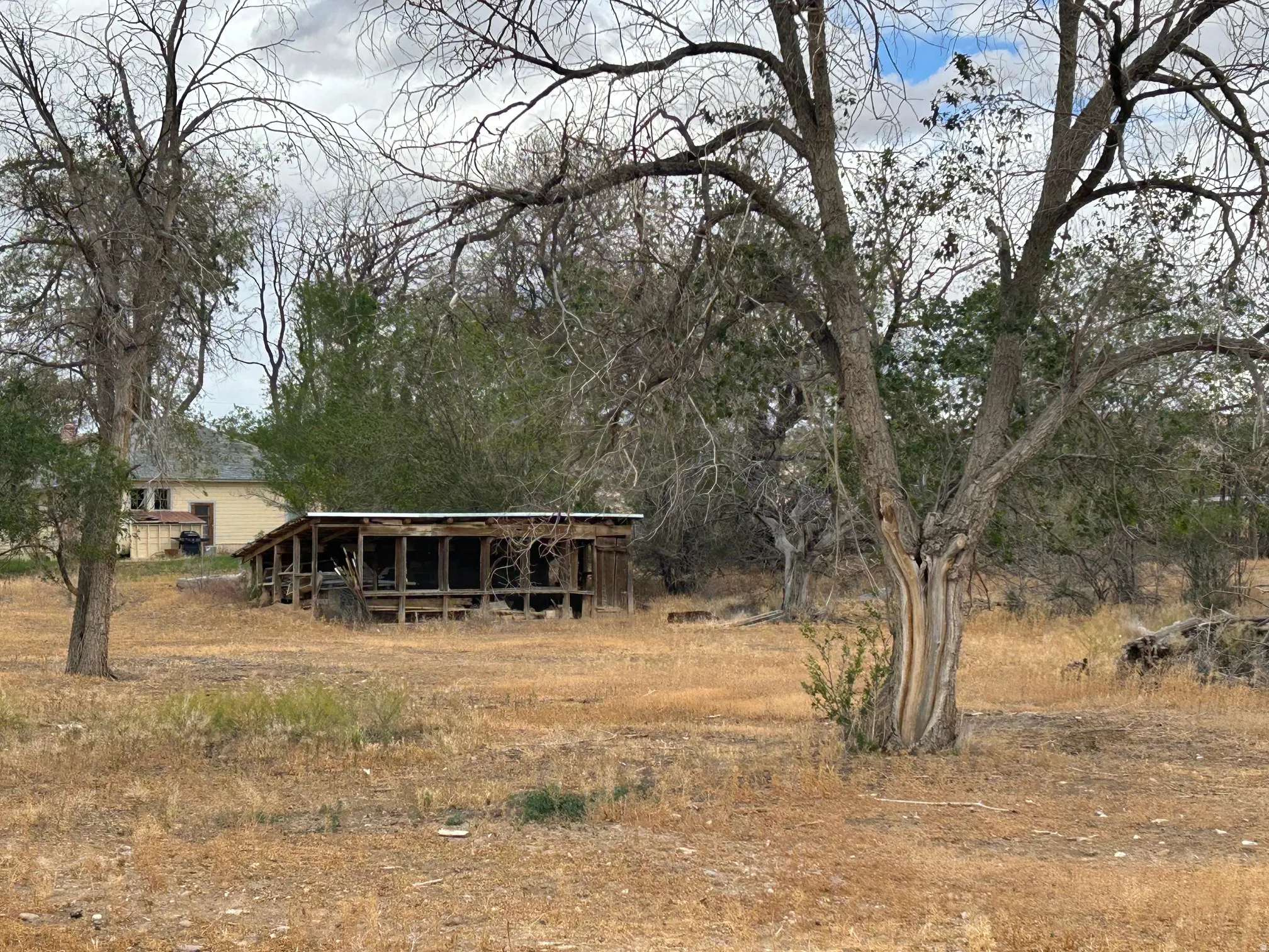 Spacious outdoor area featuring a wooden outbuilding and mature trees