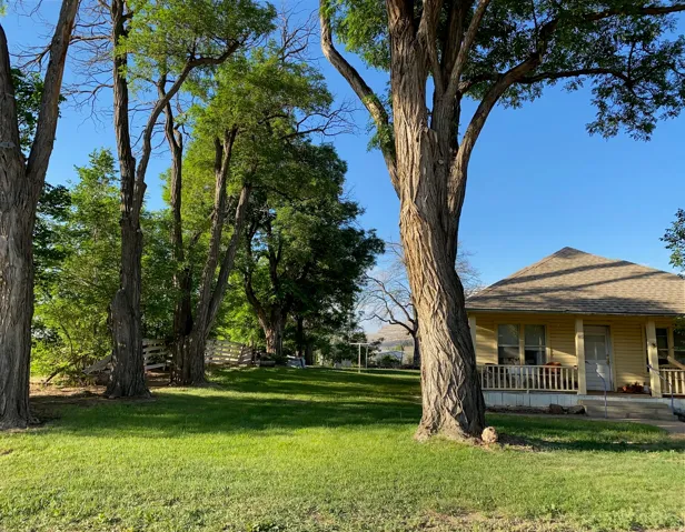 Large 1.76 Acre property featuring mature trees