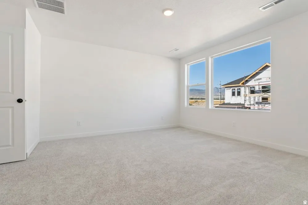 Carpeted room with white walls, two windows, and a flush-mount ceiling light