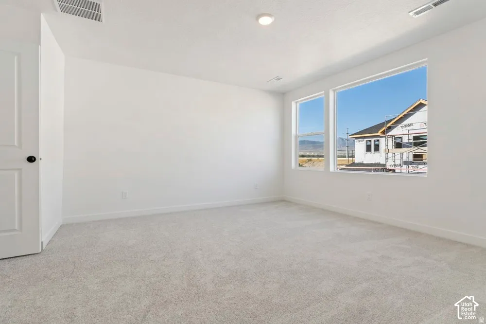 Carpeted room with white walls, two windows, and a flush-mount ceiling light