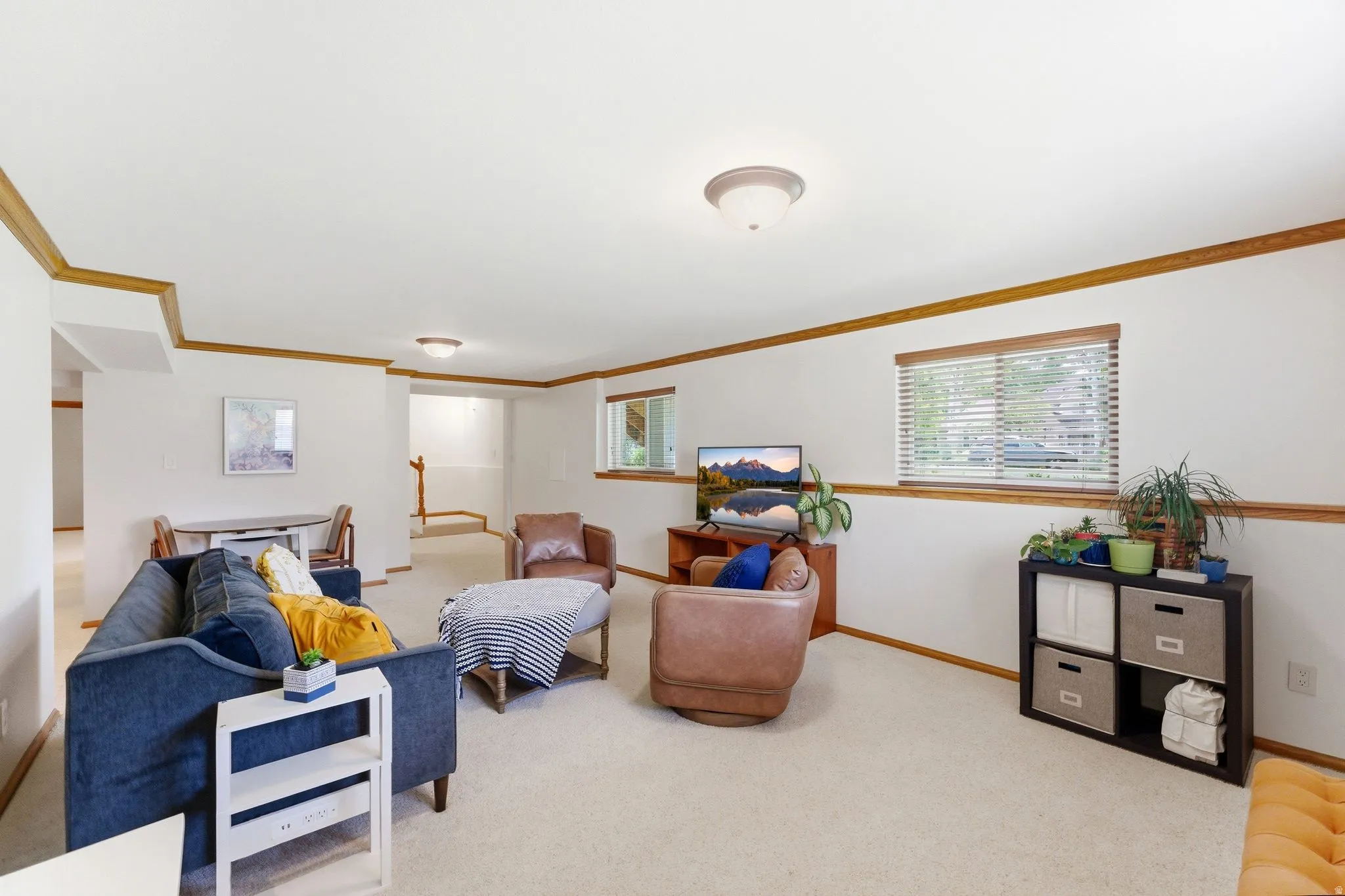 Basement Living Room