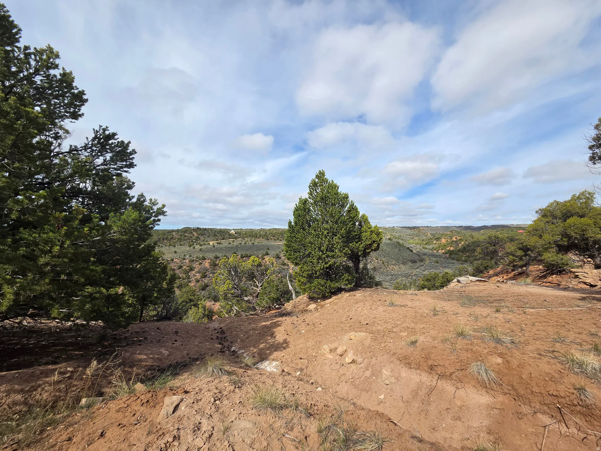 Beautiful Property Views - Large Trees!!