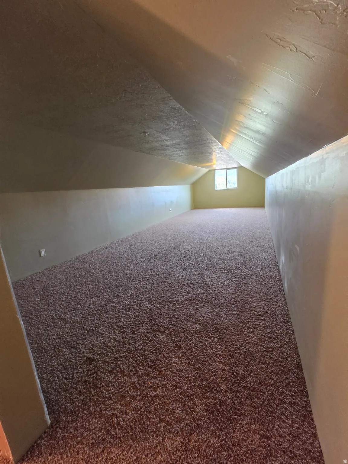Spacious garage BONUS room