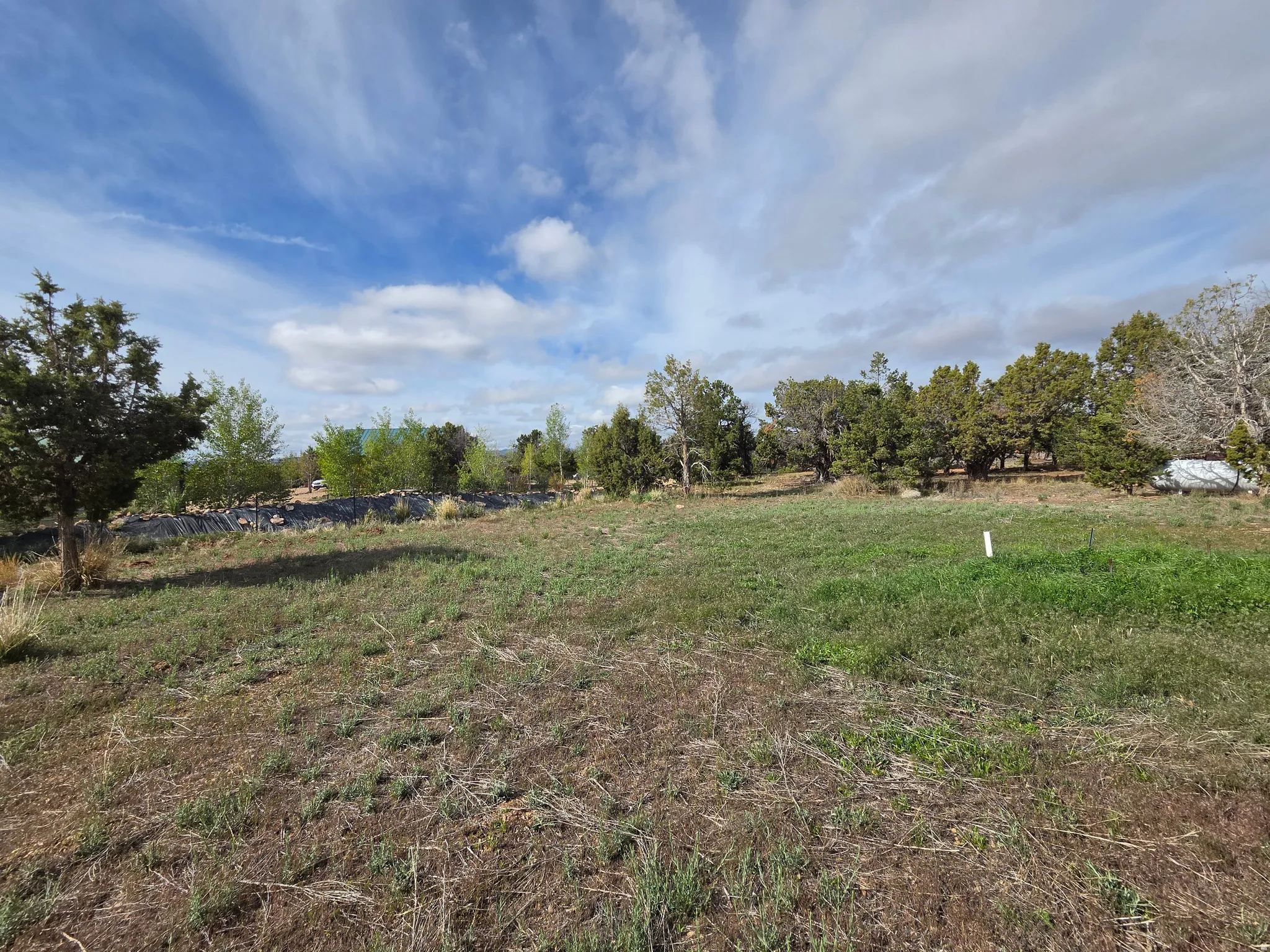 Beautiful Property Views