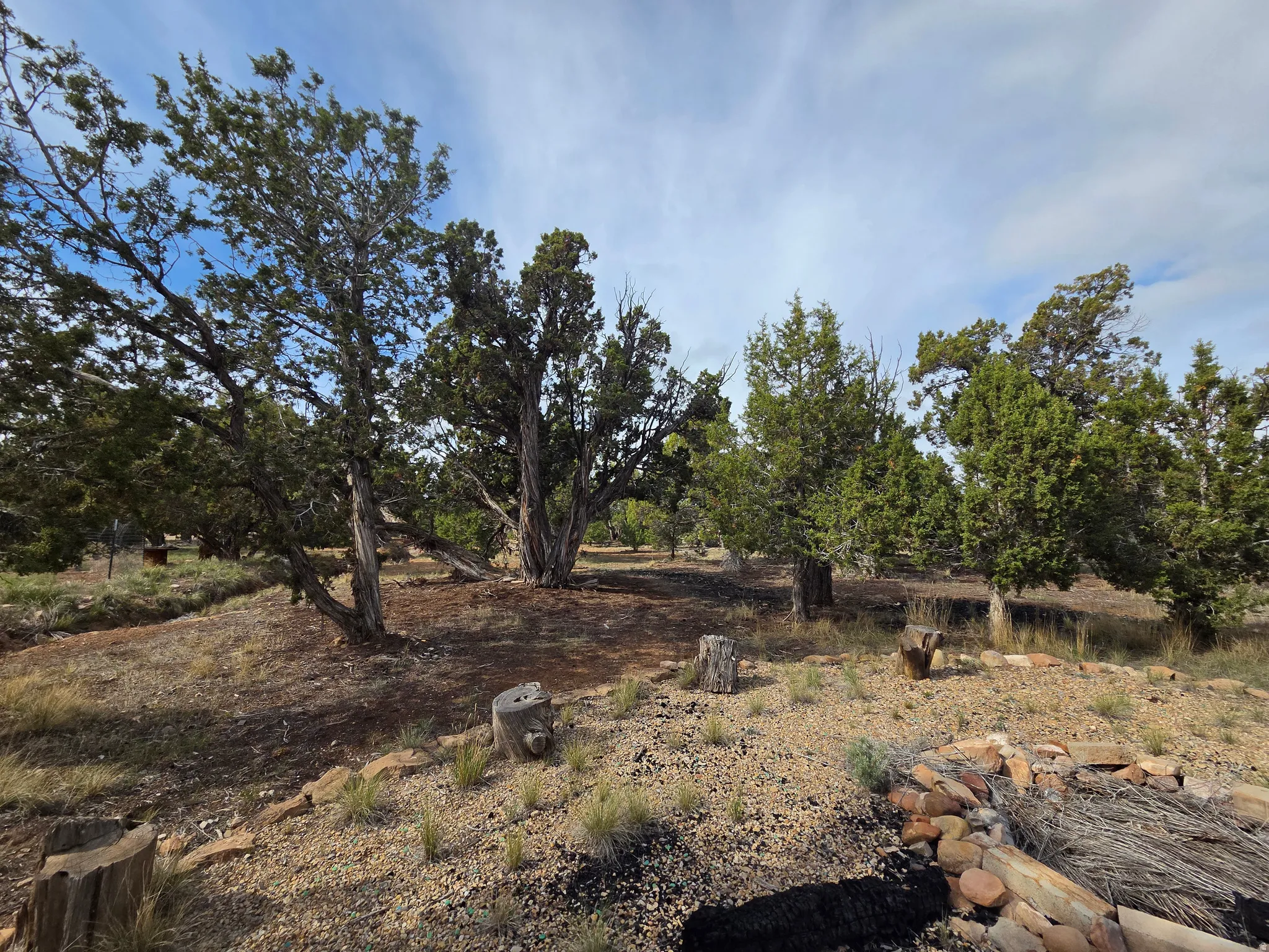 Nice Large Firepit Area