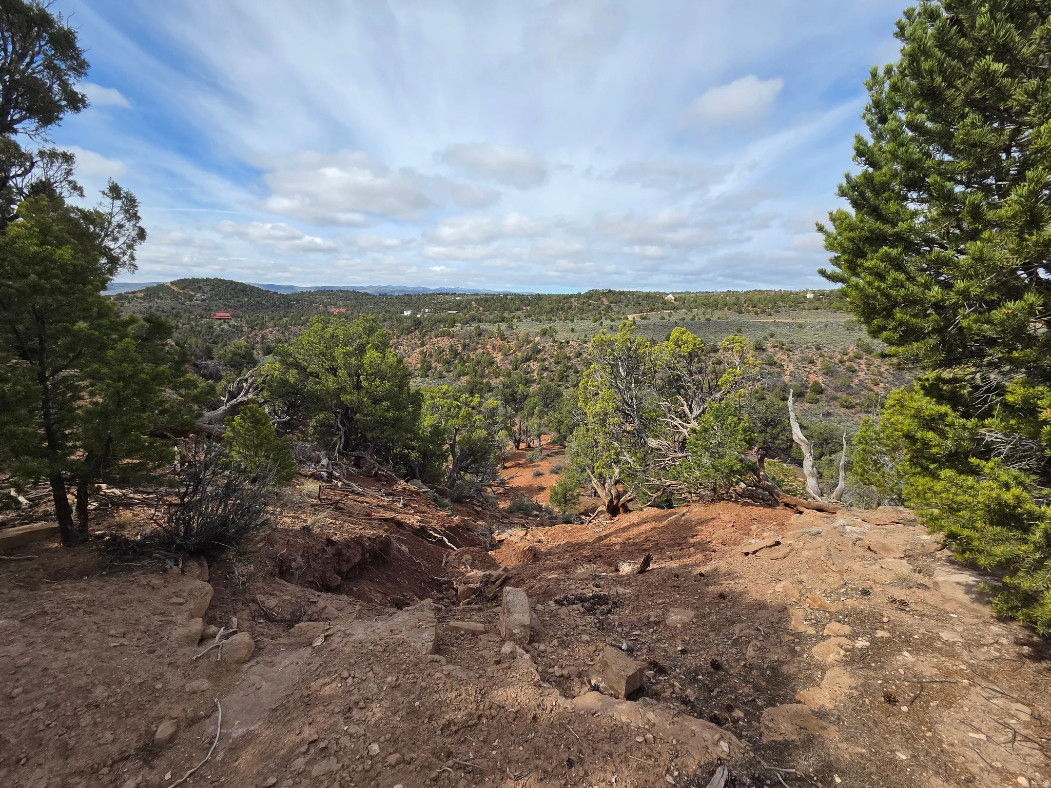 Beautiful Property Views - Large Trees!!