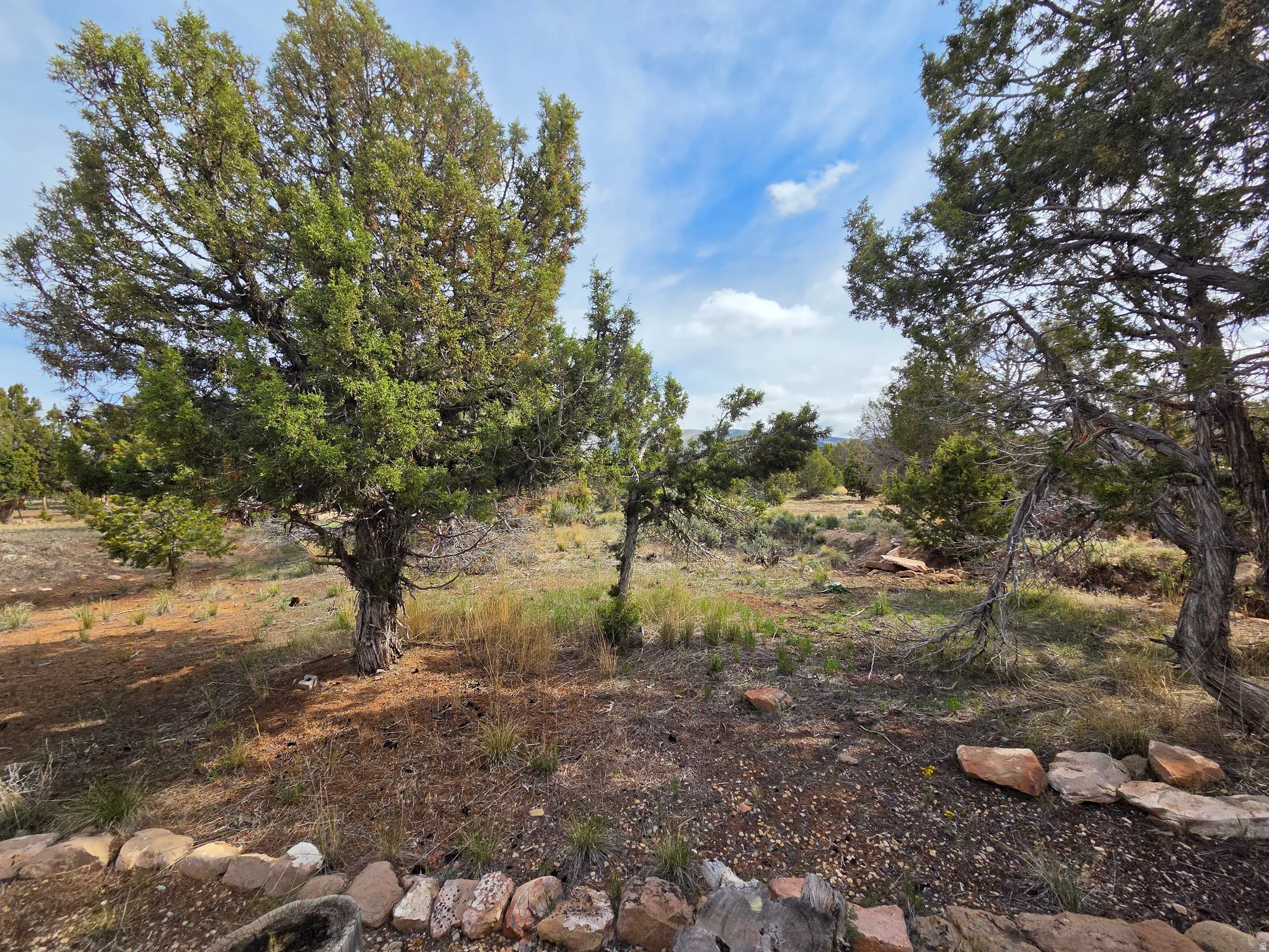 Beautiful Property Views - Large Trees!!