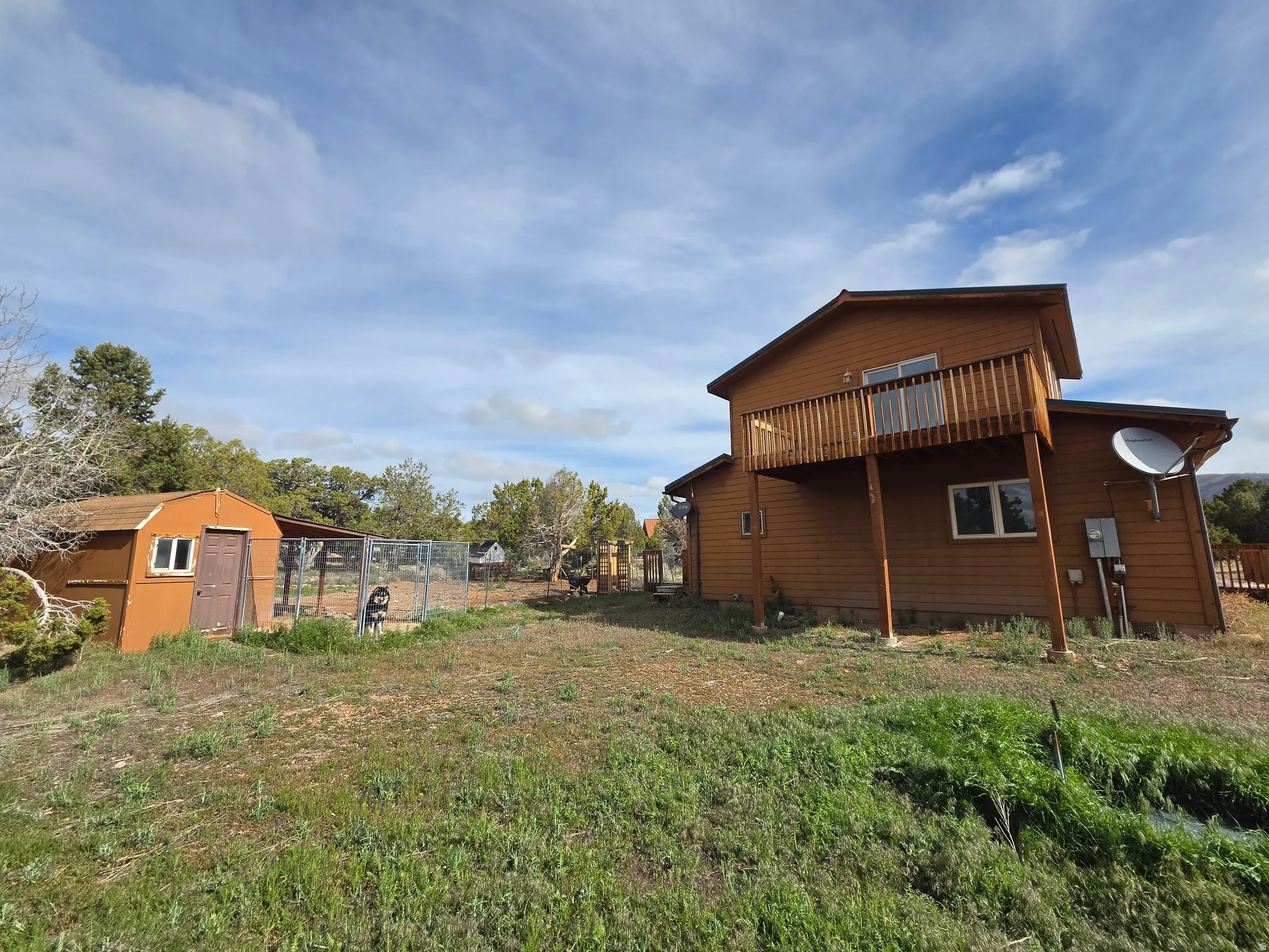 Back of Cabin