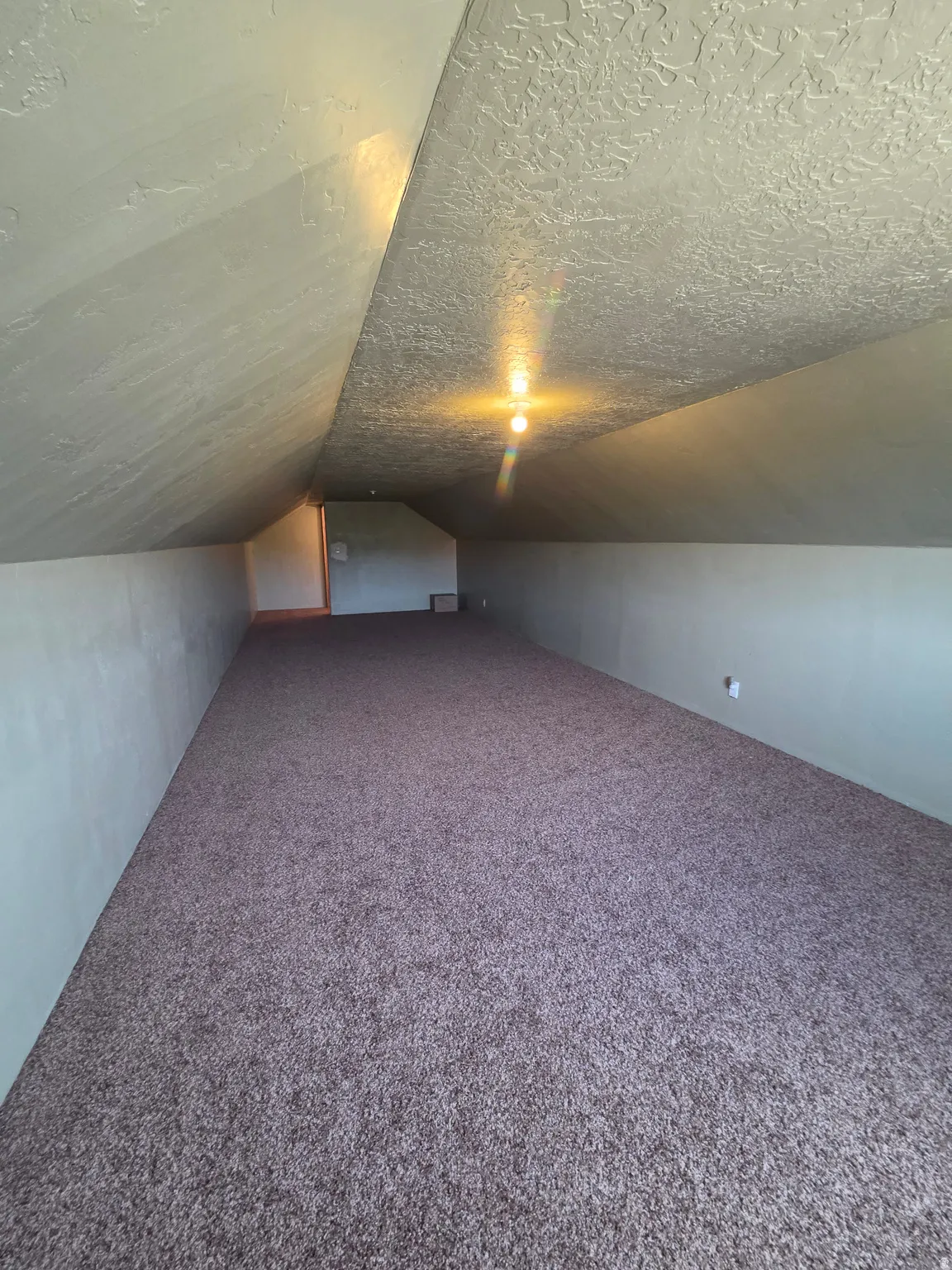 Spacious garage BONUS room