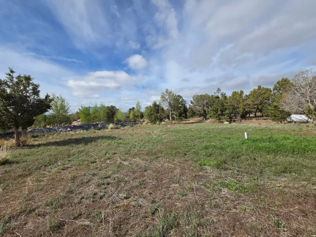 Beautiful Property Views