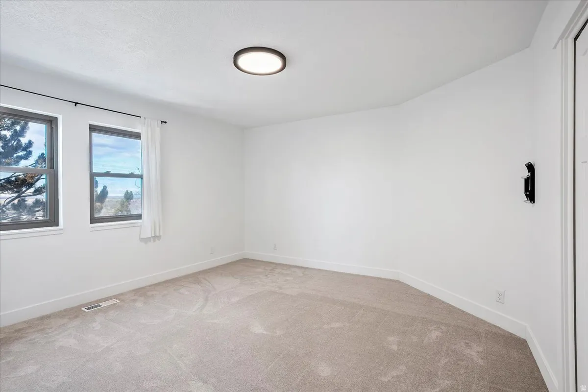 Bright room featuring two windows with dark frames, white walls, and neutral carpeting