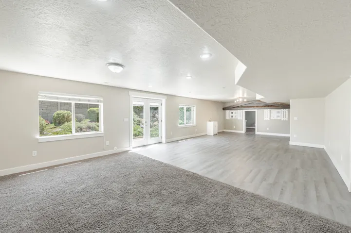 Spacious lower-level living area featuring mixed flooring with grey carpet and wood-finish planks