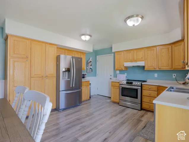 Kitchen featuring light wood cabinetry, stainless steel appliances, wood-finish flooring, light-toned countertops, and a double basin sink