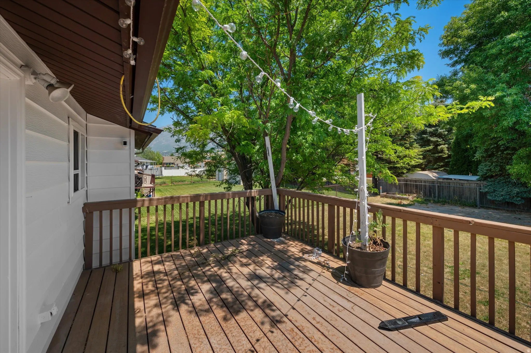 Wood-finish deck with a perimeter railing and a backdrop of mature trees