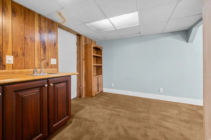 Wood paneling accent wall with built-in cabinetry and sink surrounding walk out