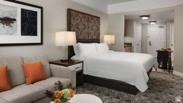 Open-concept studio space featuring integrated sleeping and living areas