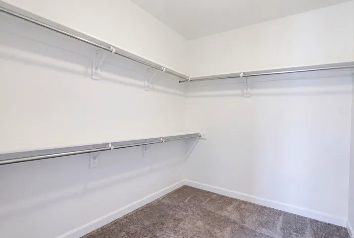 Large walk-in closet featuring white walls, white baseboards, and neutral carpet flooring