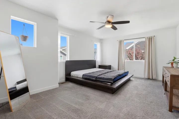 Large master bedroom featuring white walls, multiple windows, and a ceiling fan with integrated lighting