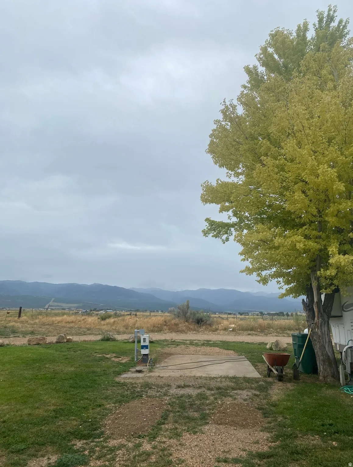 Expansive outdoor area featuring a concrete pad with utility hookups, a mature tree with vibrant green foliage, and distant mountain scenery